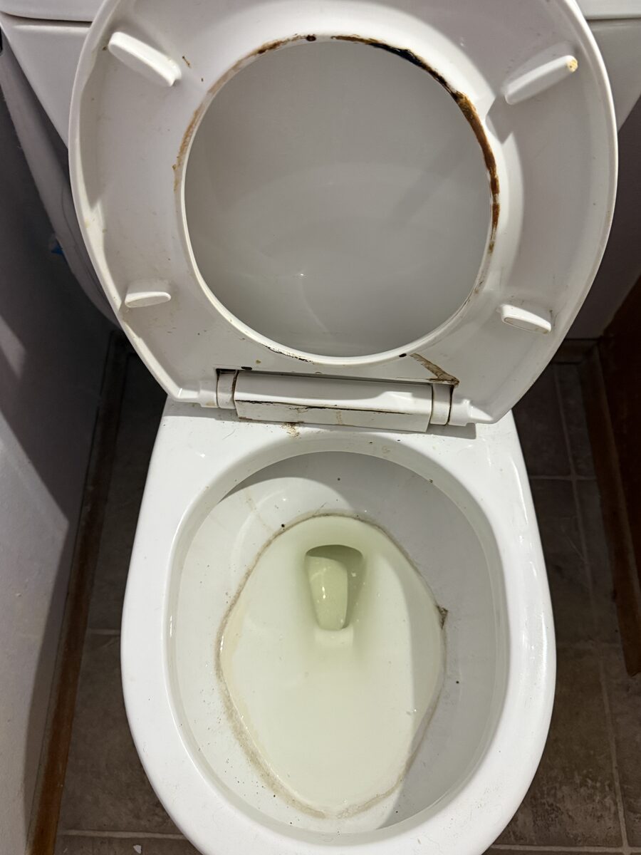 Toilet before cleaning